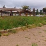 LOS SAUCES: Vecinos denuncian abandono de áreas verdes