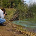 RENAICO: Denuncian posible contaminación de Laguna Huelehueico