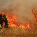 ARAUCANIA: Dos incendios activos con mil quinientas hectáreas consumidas